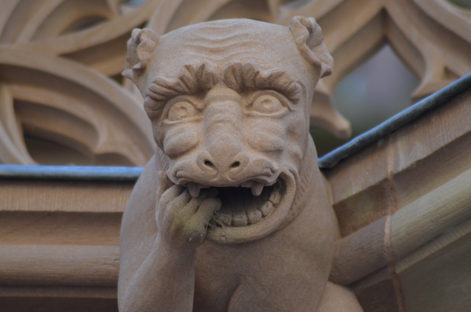 Why Are There Gargoyles on Buildings? | J. Radford Group - News